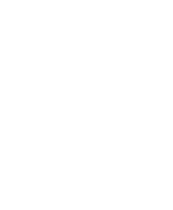 logo sgb finance white